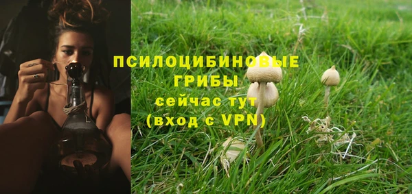 винт Богородицк