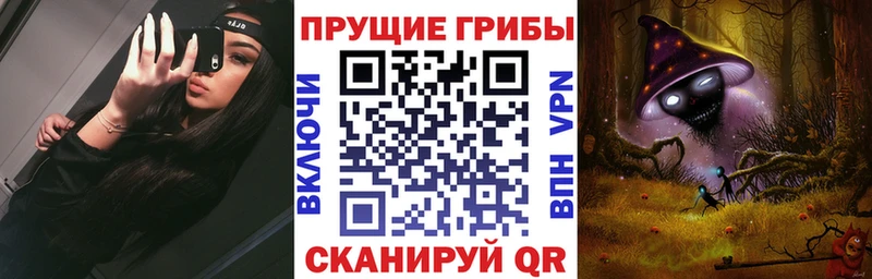 дарнет шоп  Моздок  OMG ТОР  Псилоцибиновые грибы мухоморы 